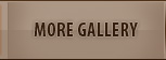 More Gallery